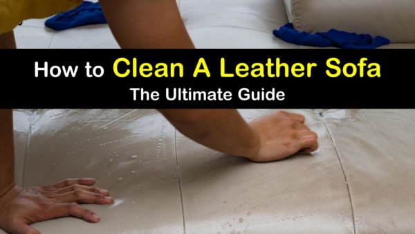 ways to clean leather sofa