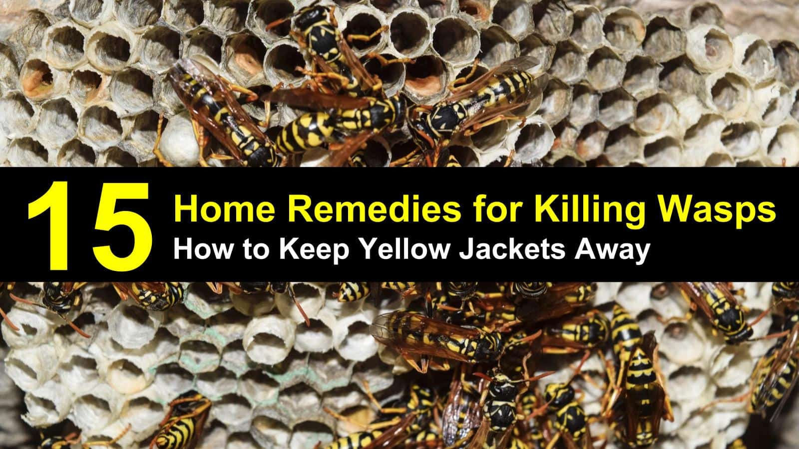 how to keep yellow jackets away titleimg