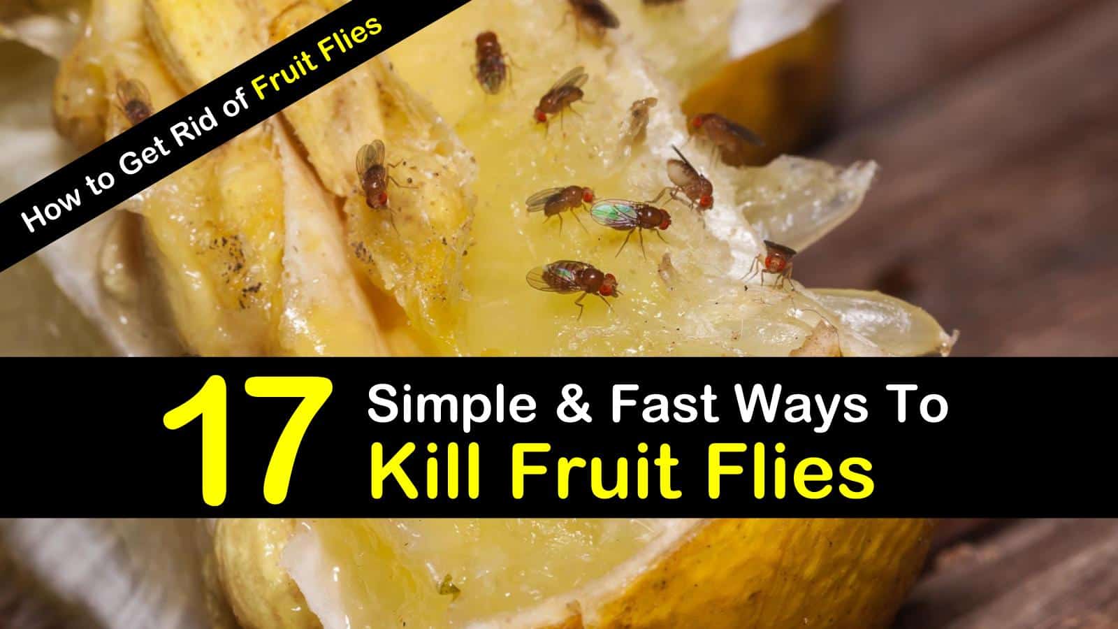 How to GET RID OF FRUIT FLIES  In house EASY & FAST 
