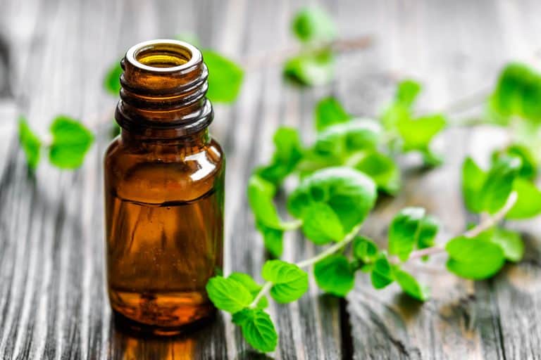smelling peppermint oil benefits