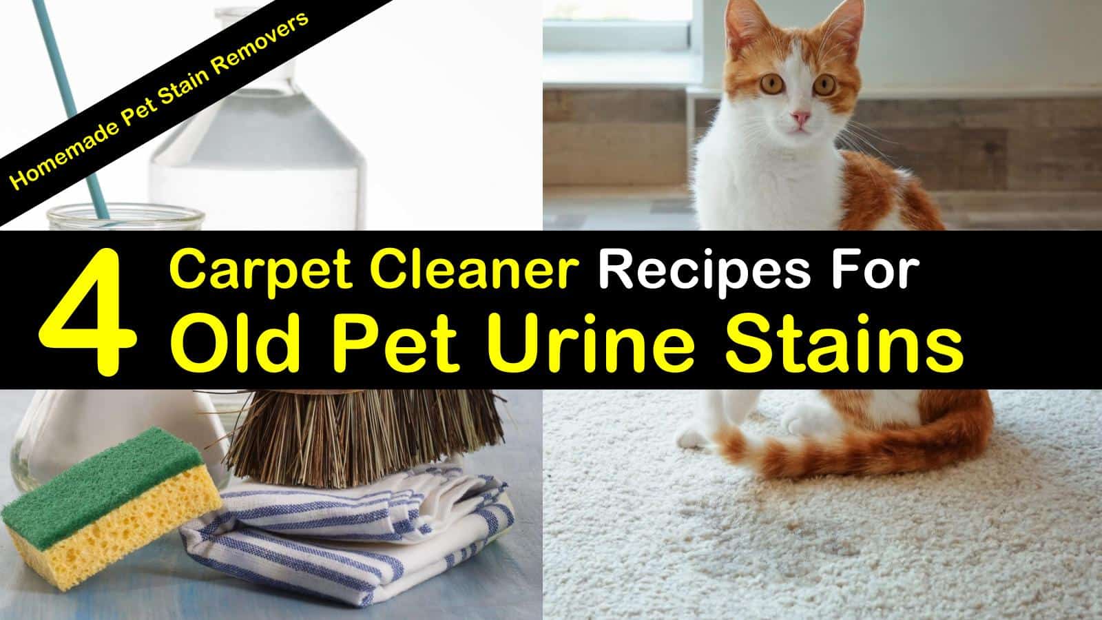 4 Best Carpet Cleaner Recipes For Old Pet Urine Stains