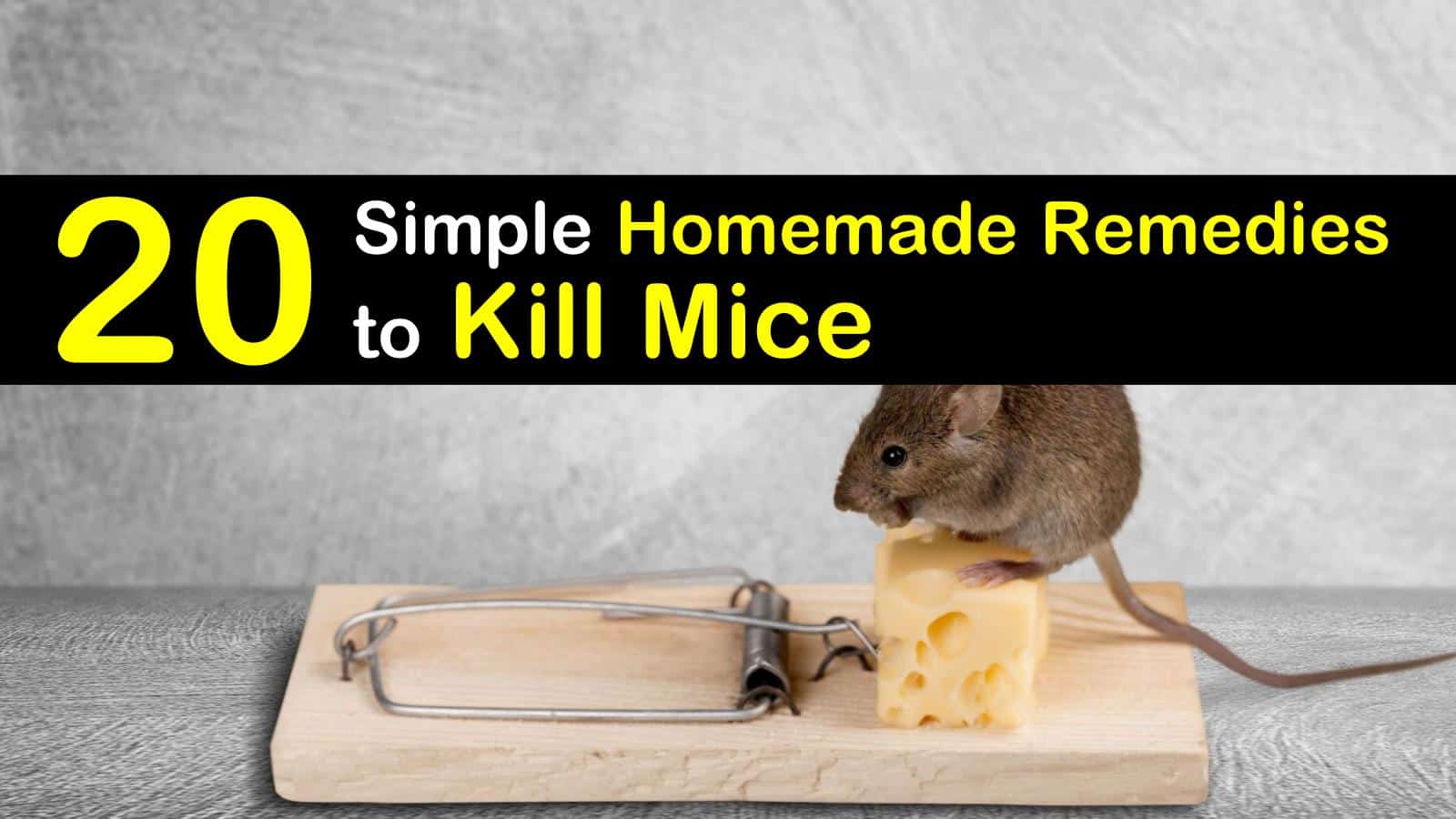 20 Simple Homemade Remedies To Kill Mice