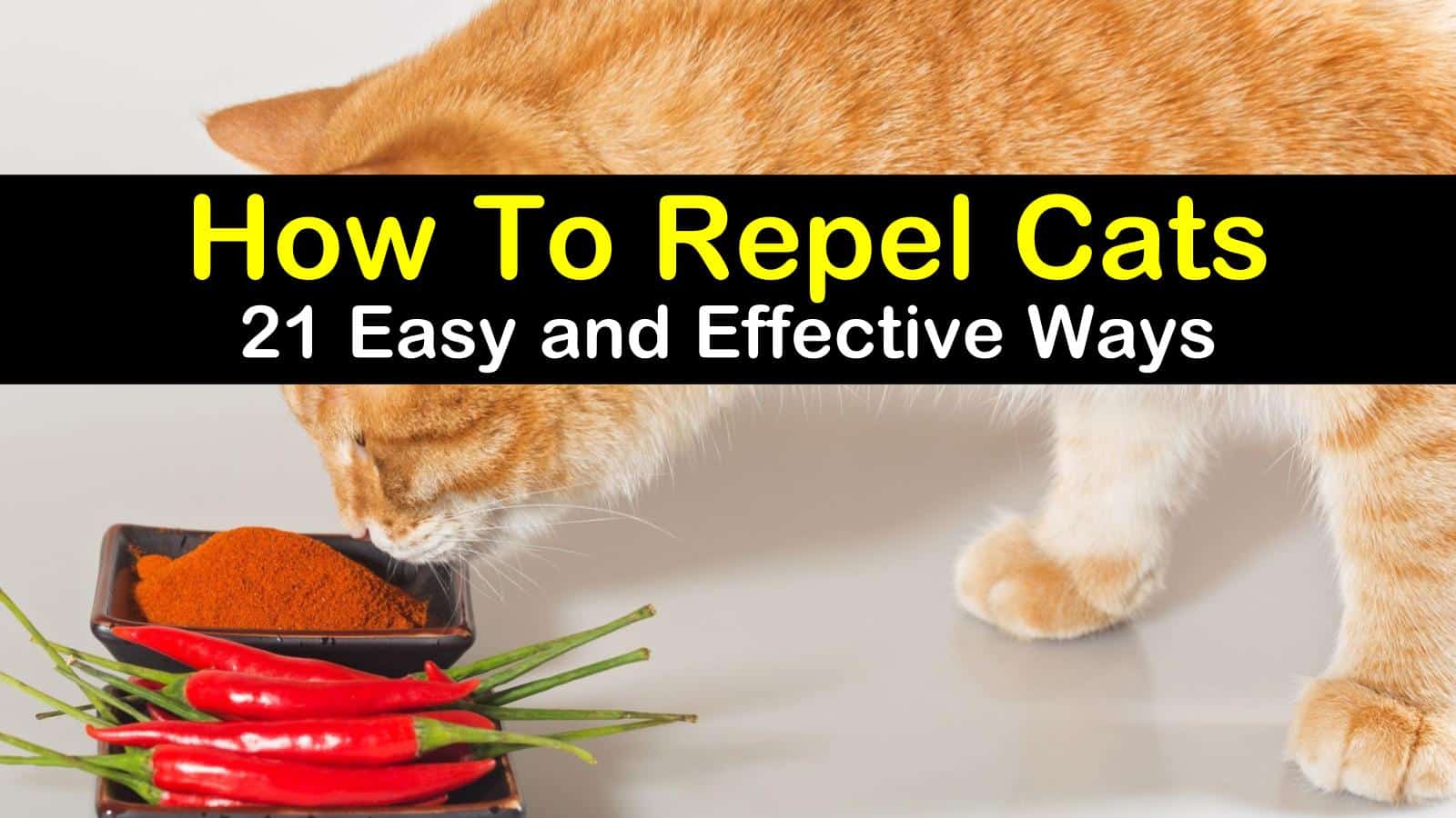 21 Easy Effective Ways To Repel Cats