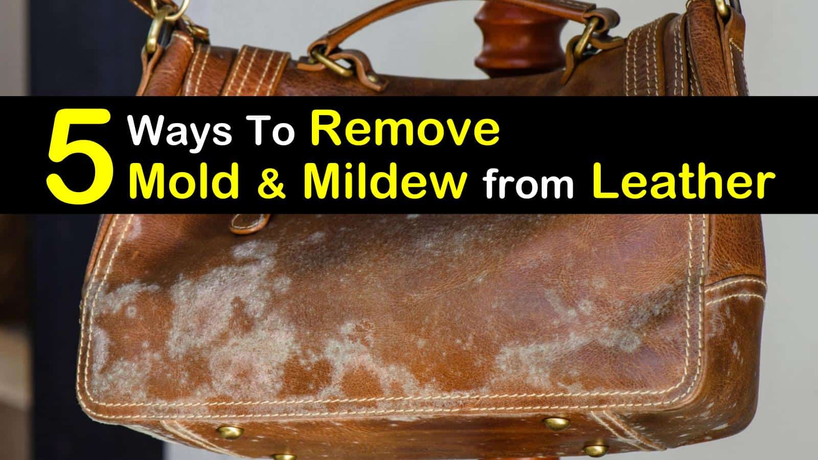 how to clean mold out of shoes