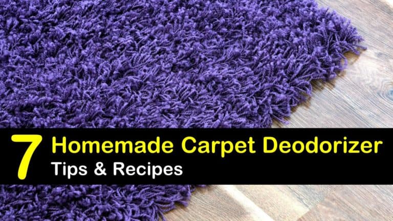 7 Fast & Easy Carpet Deodorizers Anyone Can Make