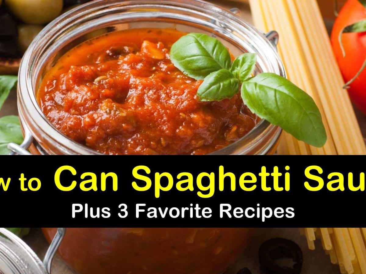 3 Yummy Canned Spaghetti Sauce Recipes