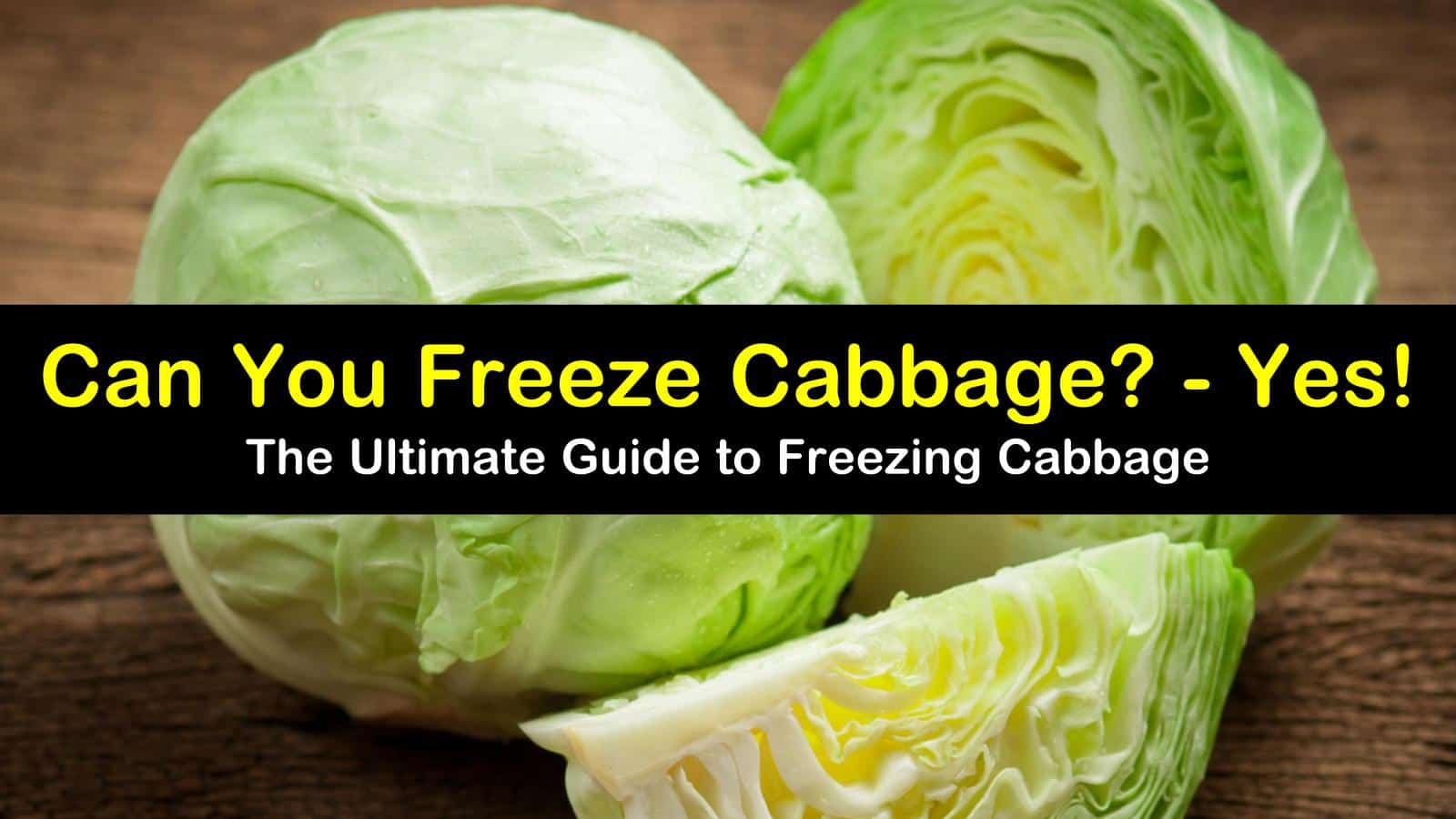 https://www.tipsbulletin.com/wp-content/uploads/2019/09/can-you-freeze-cabbage-t1.jpg