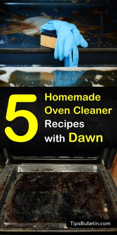 Homemade Oven Cleaner With Dawn P1 384x768 