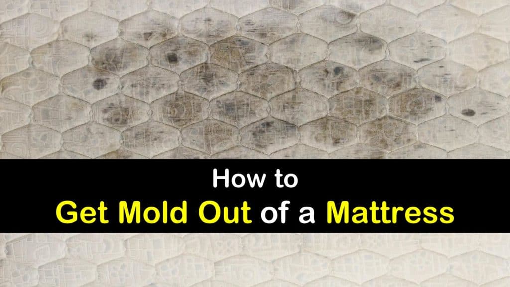 get mold out of air mattress
