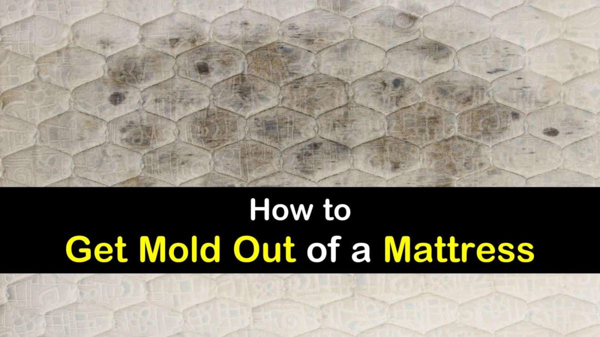 How To Get Mold Out Of A Mattress T1 1200x675 