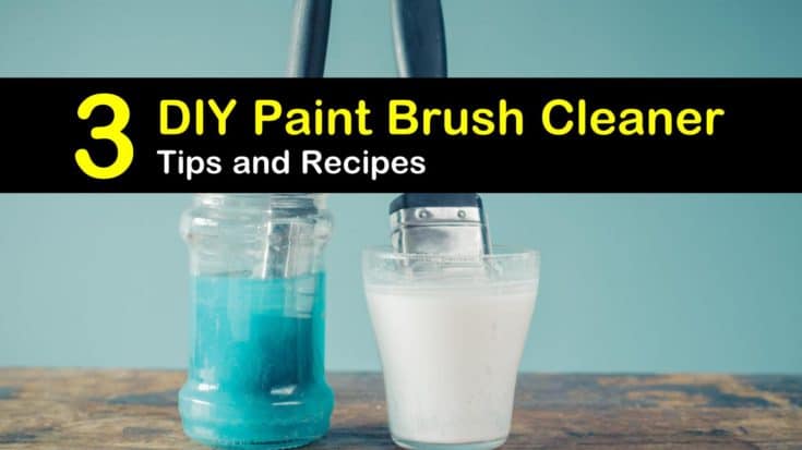 diy paintbrush cleaner