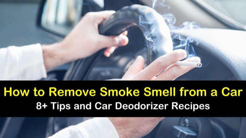 8+ Clever Ways to Remove Smoke Smell from a Car