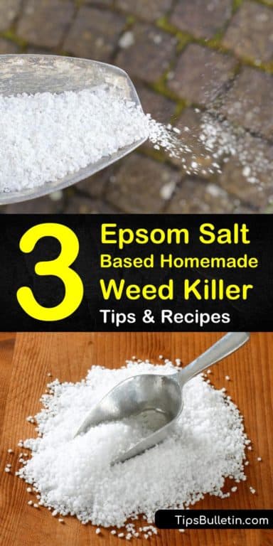 3 Epsom Salt Based Homemade Weed Killer Tips & Recipes