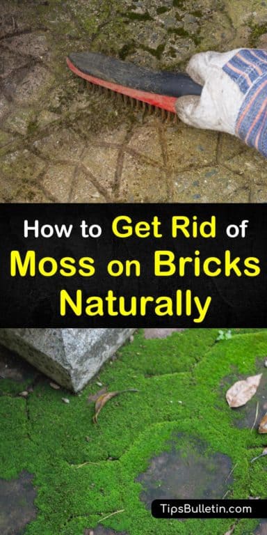 kill roof moss with bleach