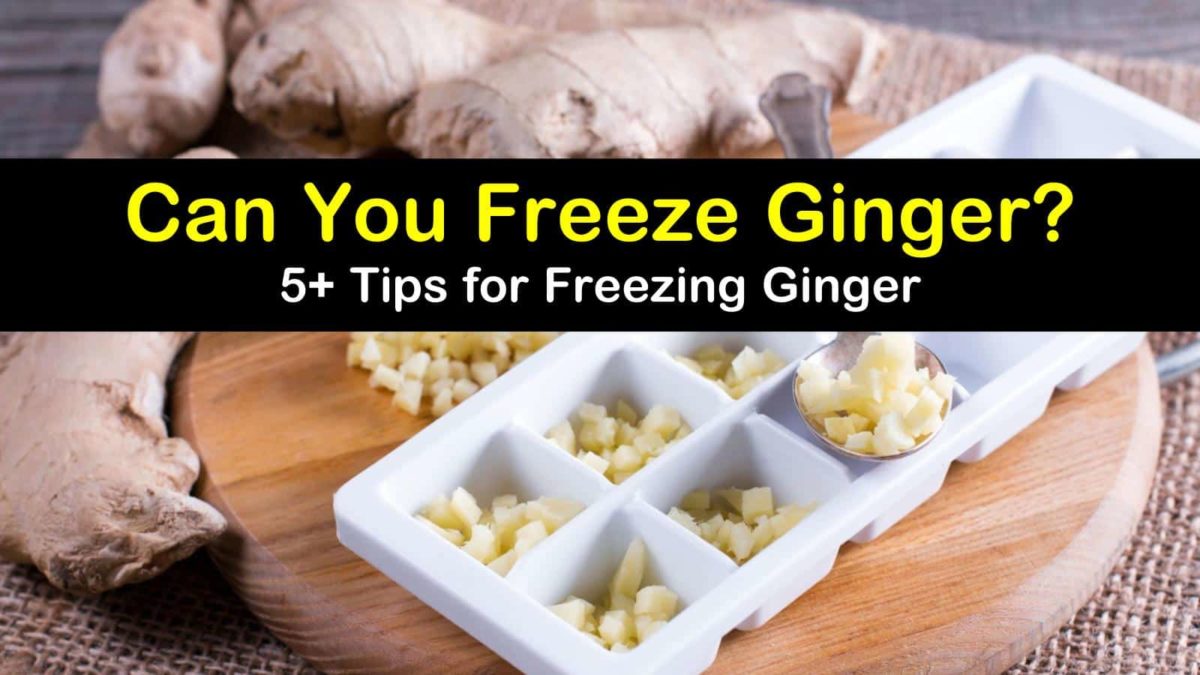 Can You Freeze Ginger 5 Tips For Freezing Ginger
