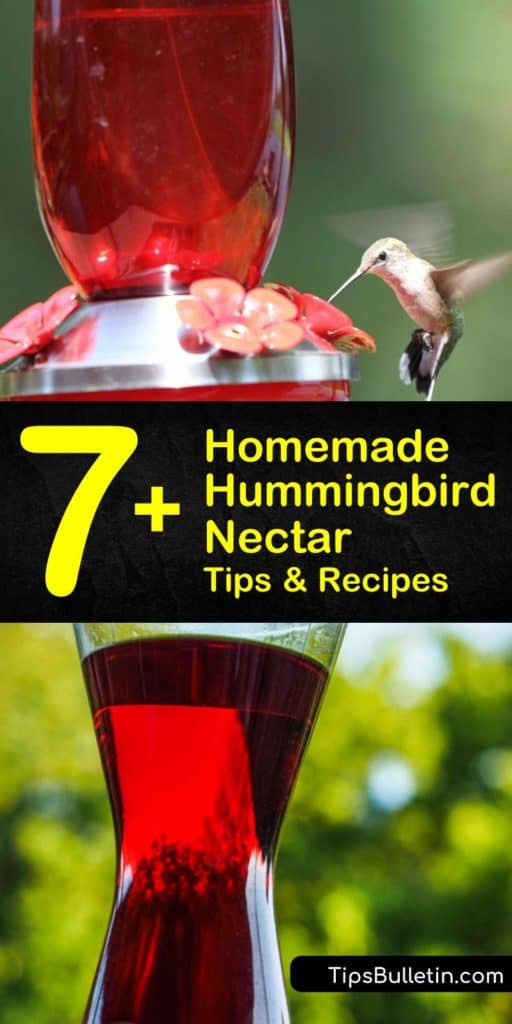 homemade hummingbird nectar ratio