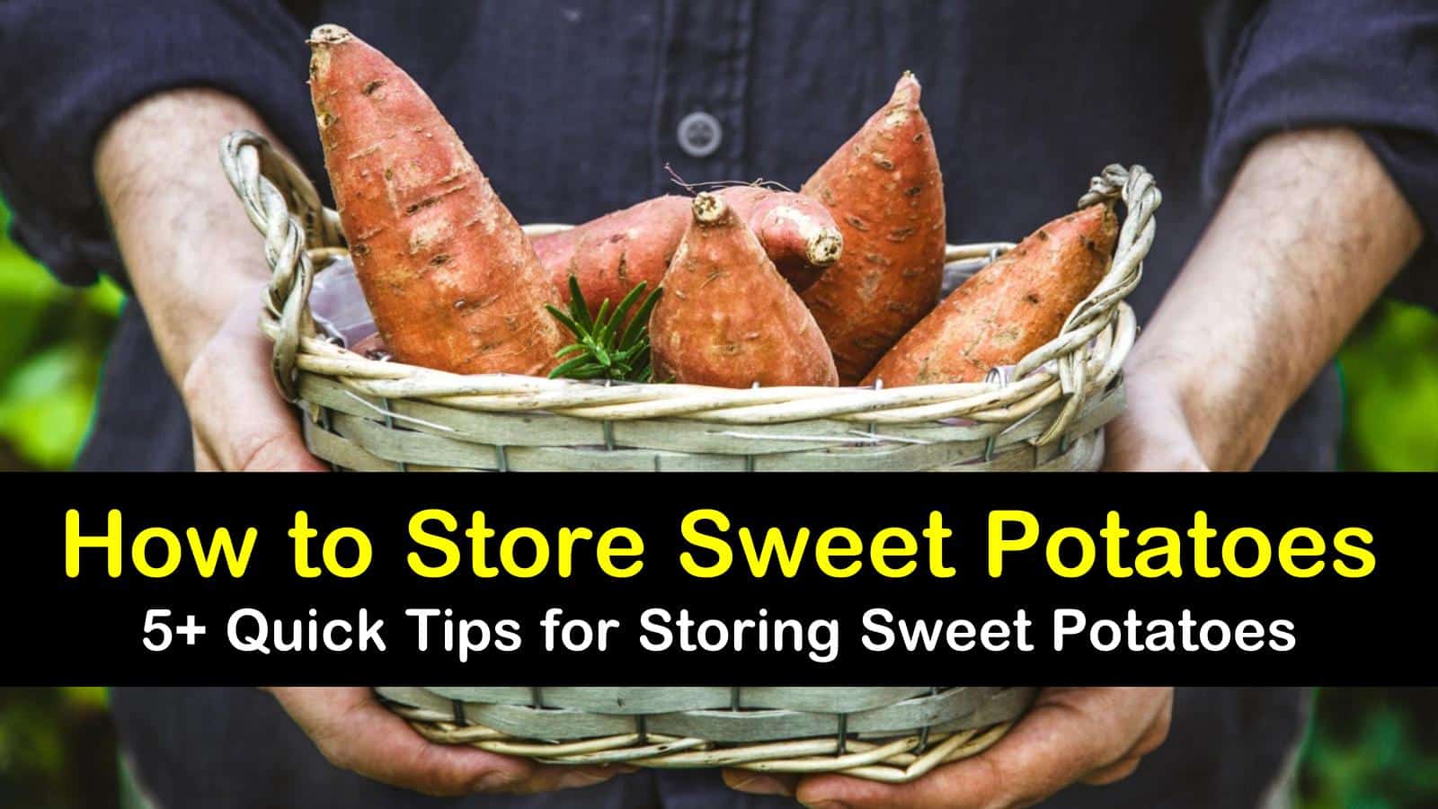 Potato Storage: How to Store Potatoes Properly