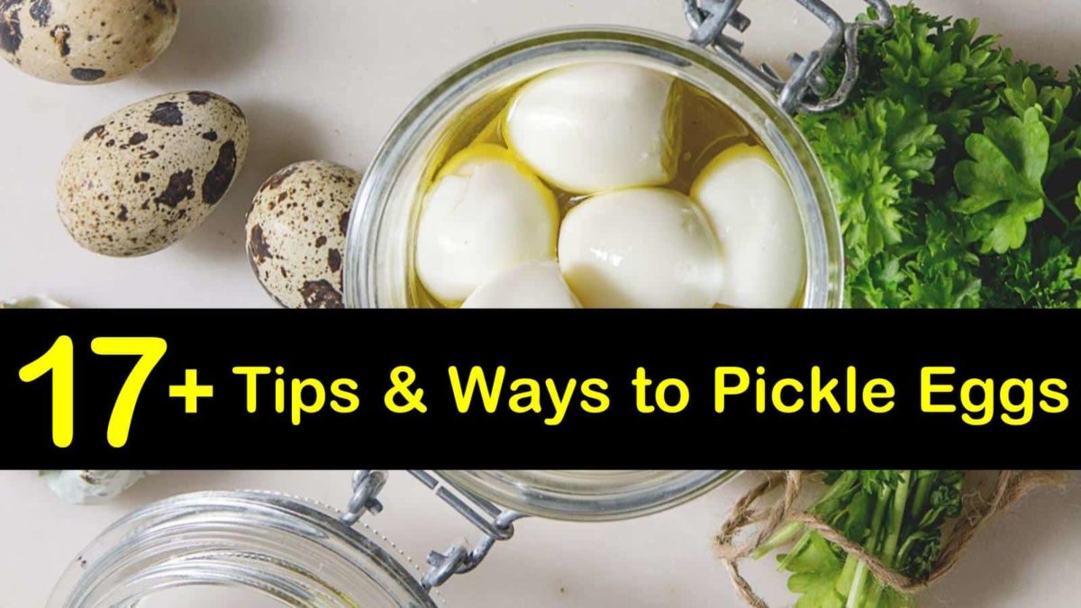 How To Pickle Eggs T1 1200x675 Cropped 