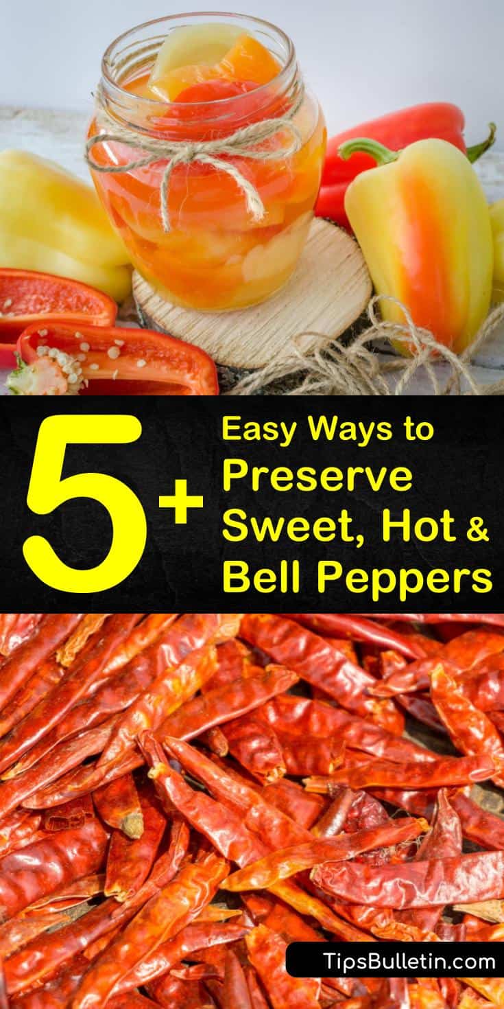 5+ Easy Ways to Preserve Sweet, Hot and Bell Peppers