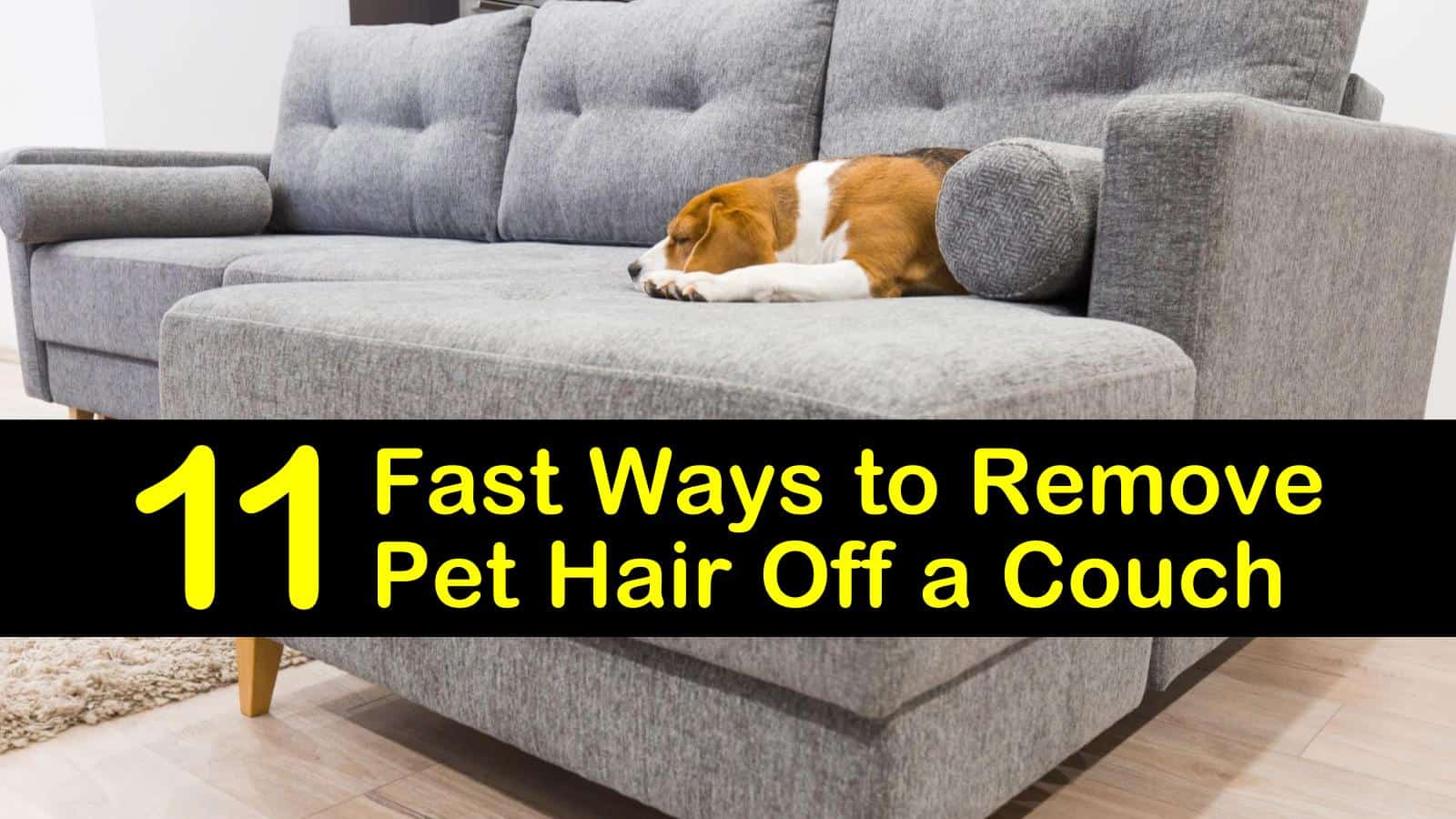 best way to get rid of pet hair
