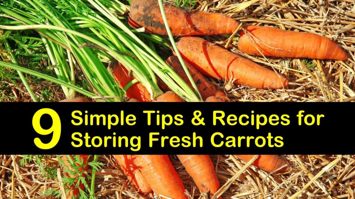 How To Store Carrots T1 1200x675 Cropped 