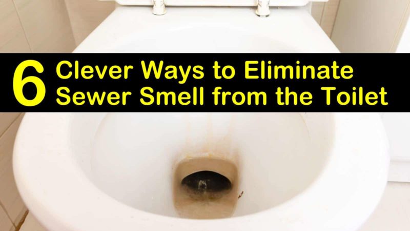 Sewer Smell From The Toilet T1 800x450 