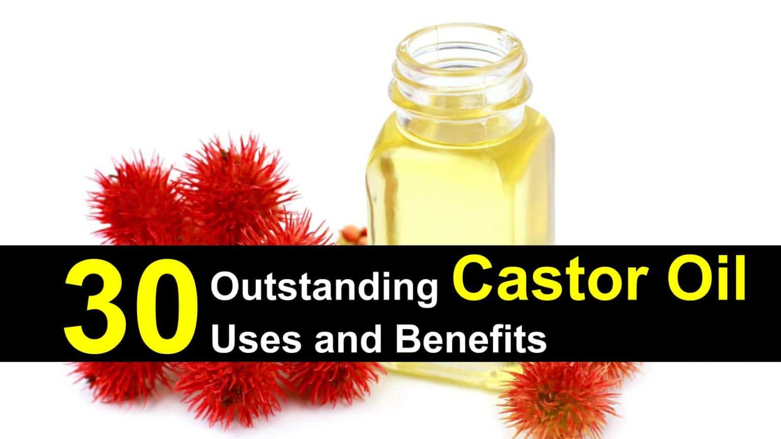 Castor Oil Uses And Benefits Titimg 1a 1536x864 