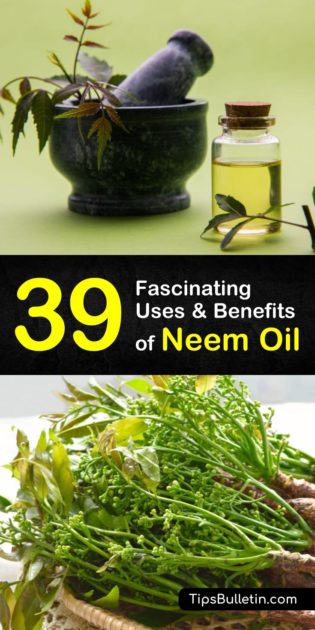 39 Fascinating Uses & Benefits of Neem Oil