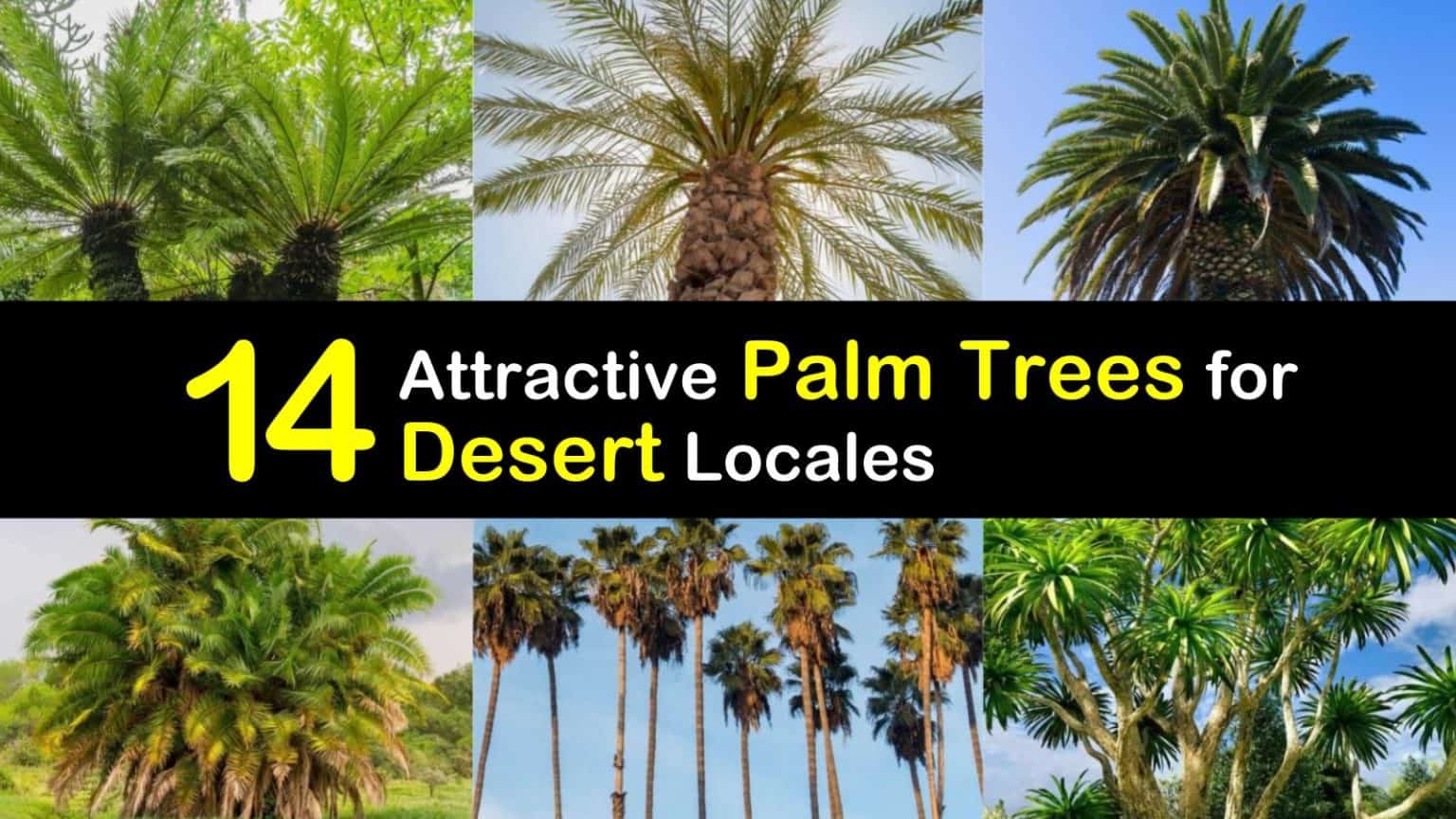 palm desert weather july