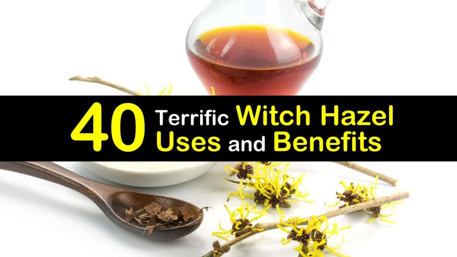 40 Amazing Witch Hazel Uses And Benefits