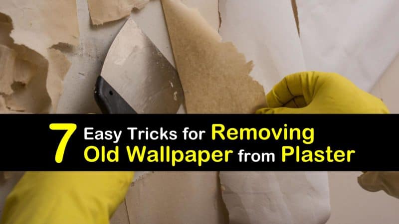 remove wallpaper from lath and plaster walls