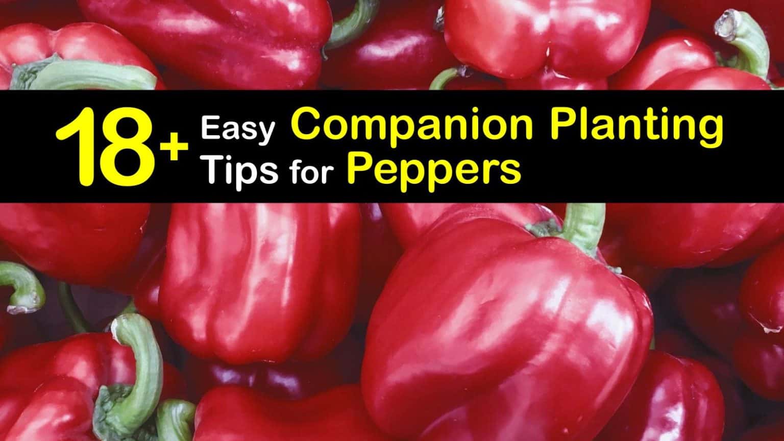 Are tomatoes and peppers companion plants Idea