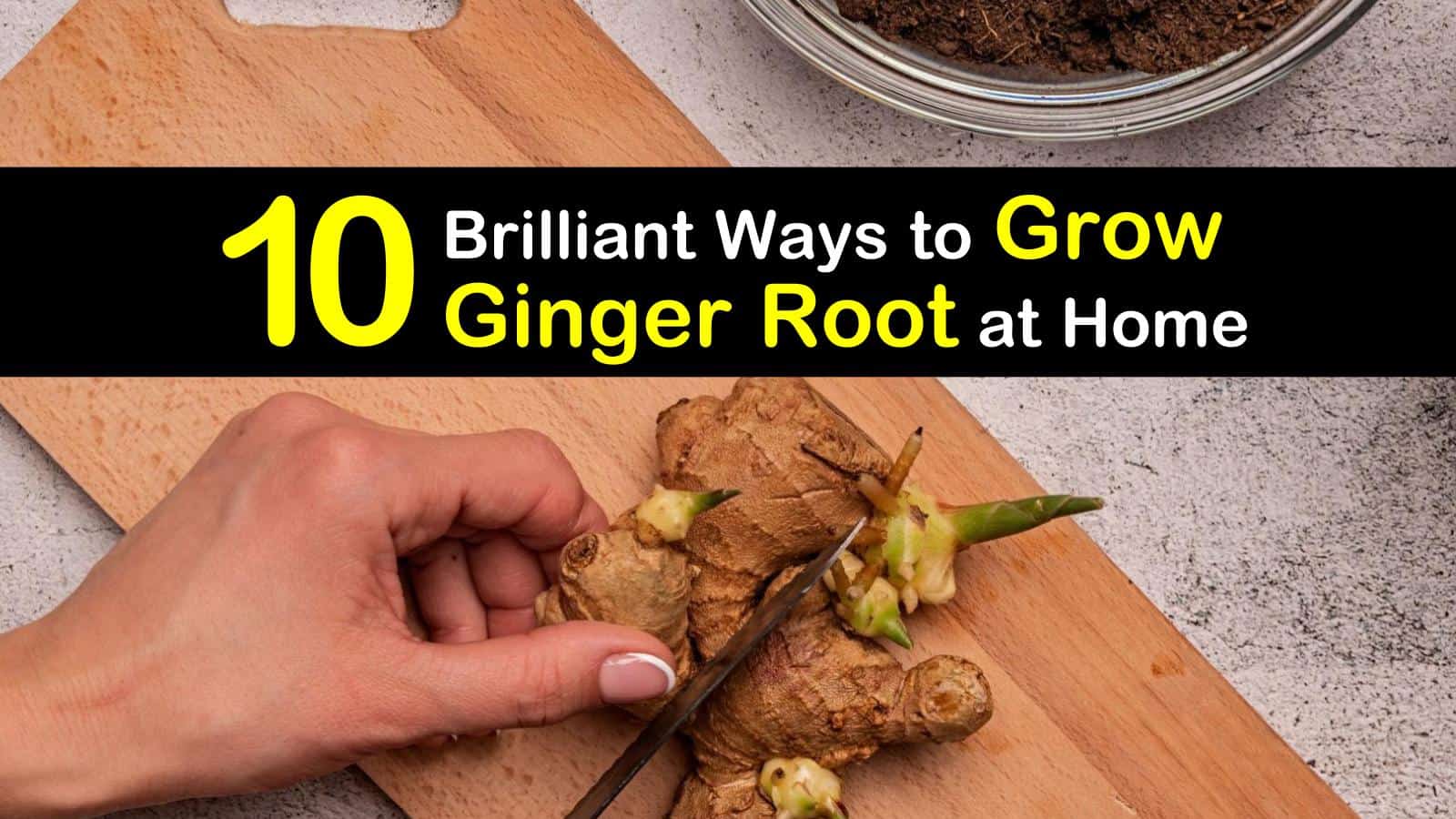 10 Brilliant Ways to Grow Ginger Root at Home