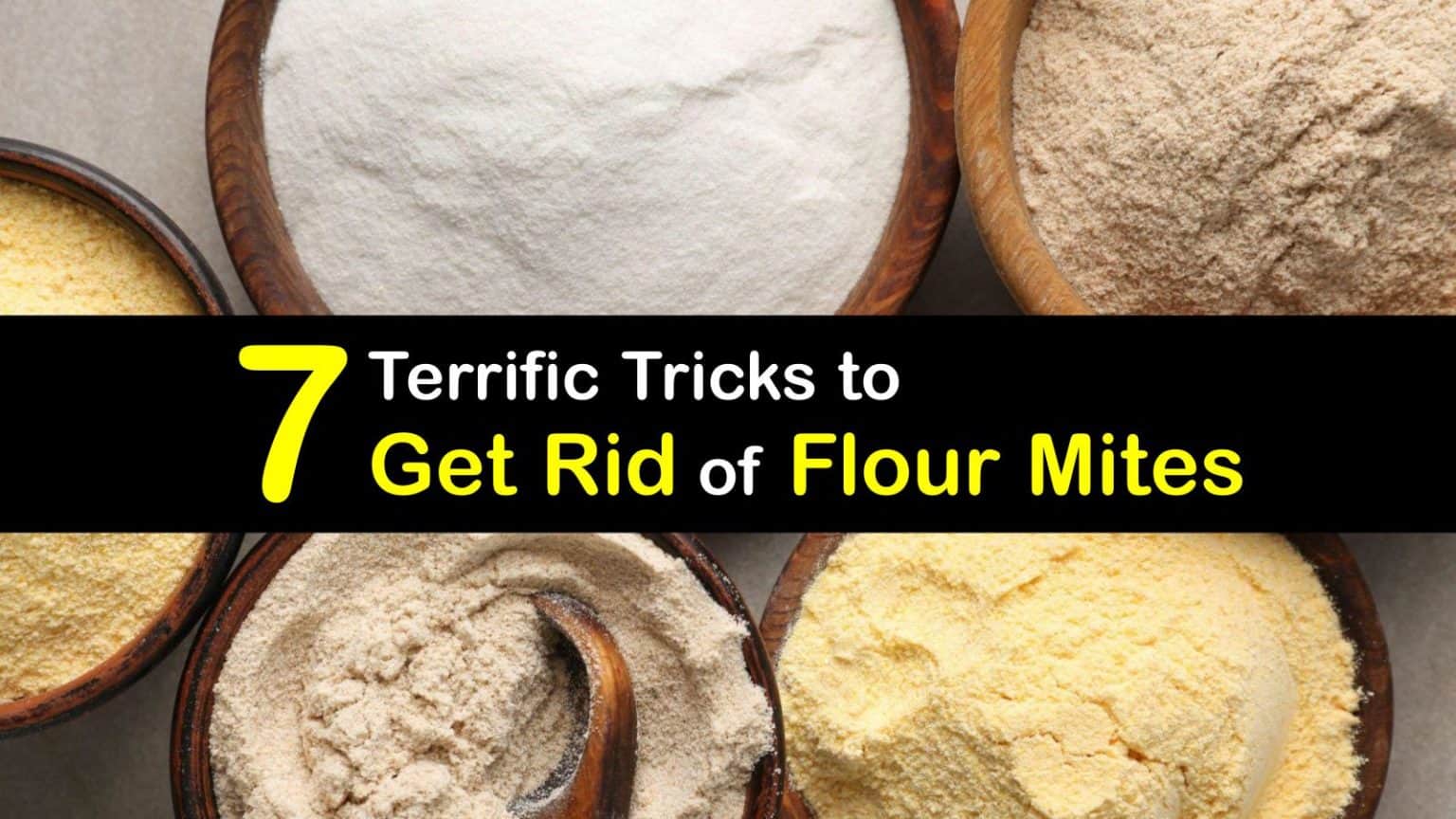 How To Get Rid Of Flour Mites T1 1536x864 