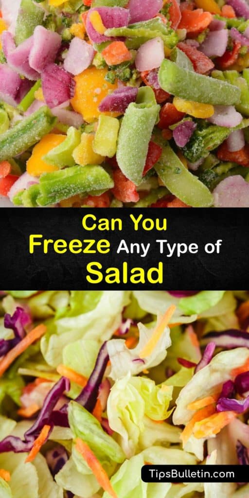 zjistěte, které saláty jsou vhodné pro zmrazení a nejlepší způsoby jejich uložení. Některé potraviny mají vysoký obsah vody a po rozmrazení se stávají kašovitými, zatímco jiné zpracovávají proces zmrazování, pokud je uložíte do vzduchotěsné nádoby nebo mrazicího sáčku. # freeze # salad