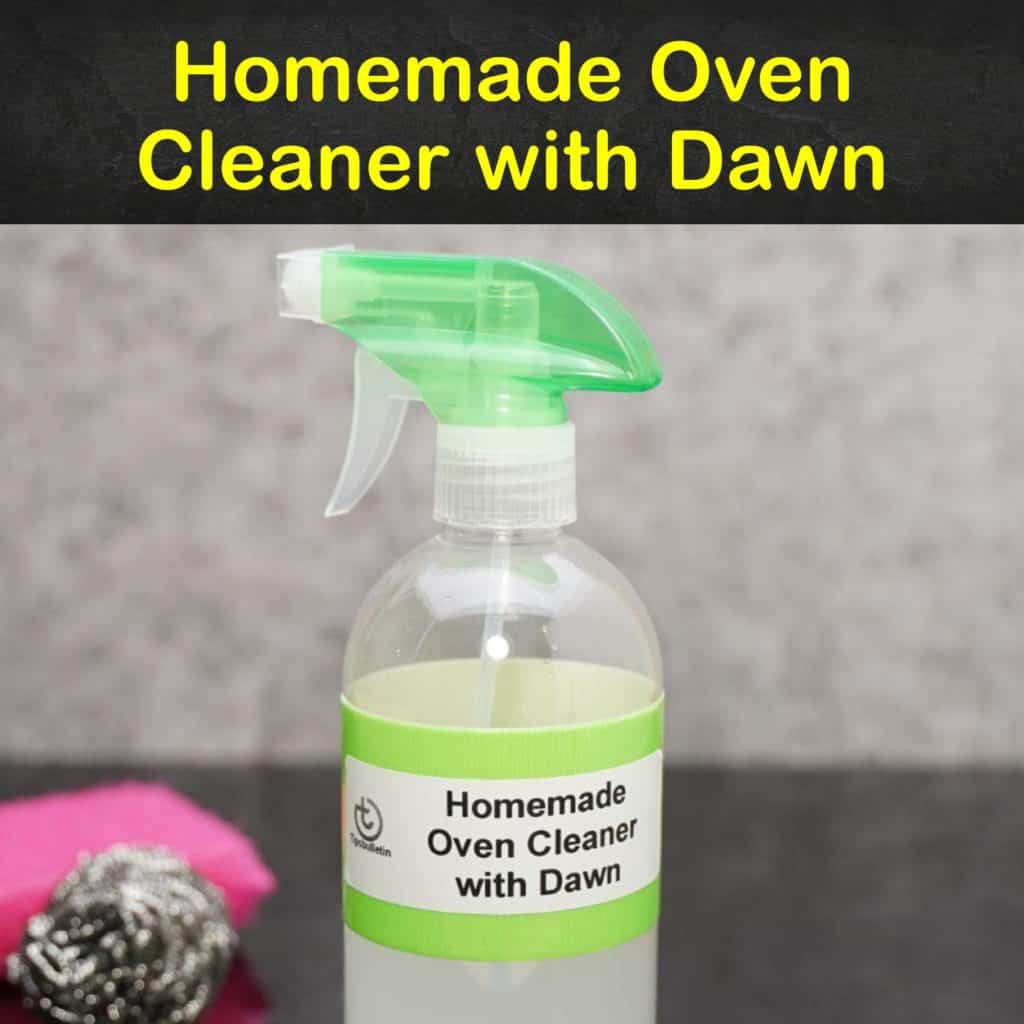 Homemade Oven Cleaner With Dawn S99 1024x1024 