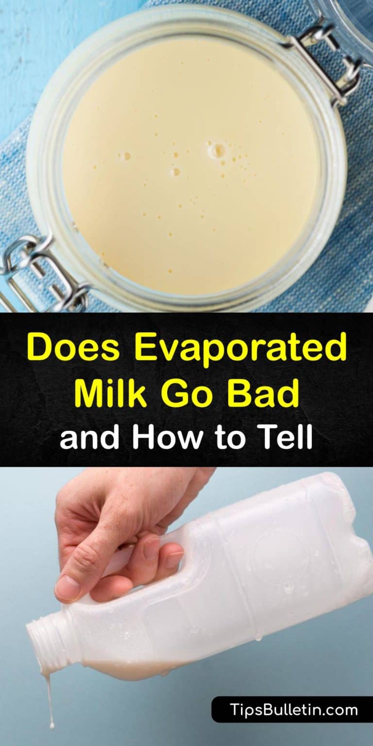 Does Evaporated Milk Go Bad and How to Tell