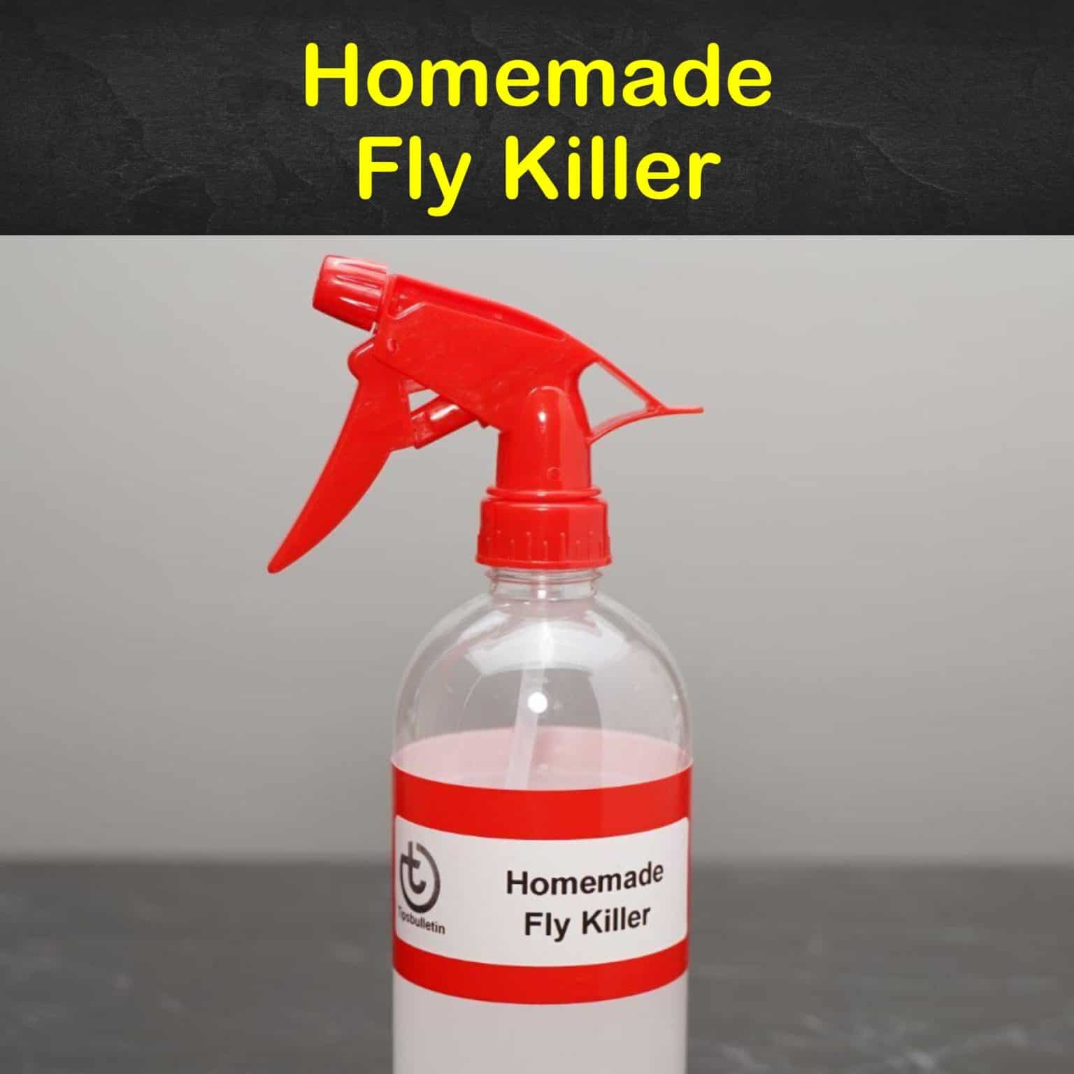 Homemade Fly Killer S99 1536x1536 