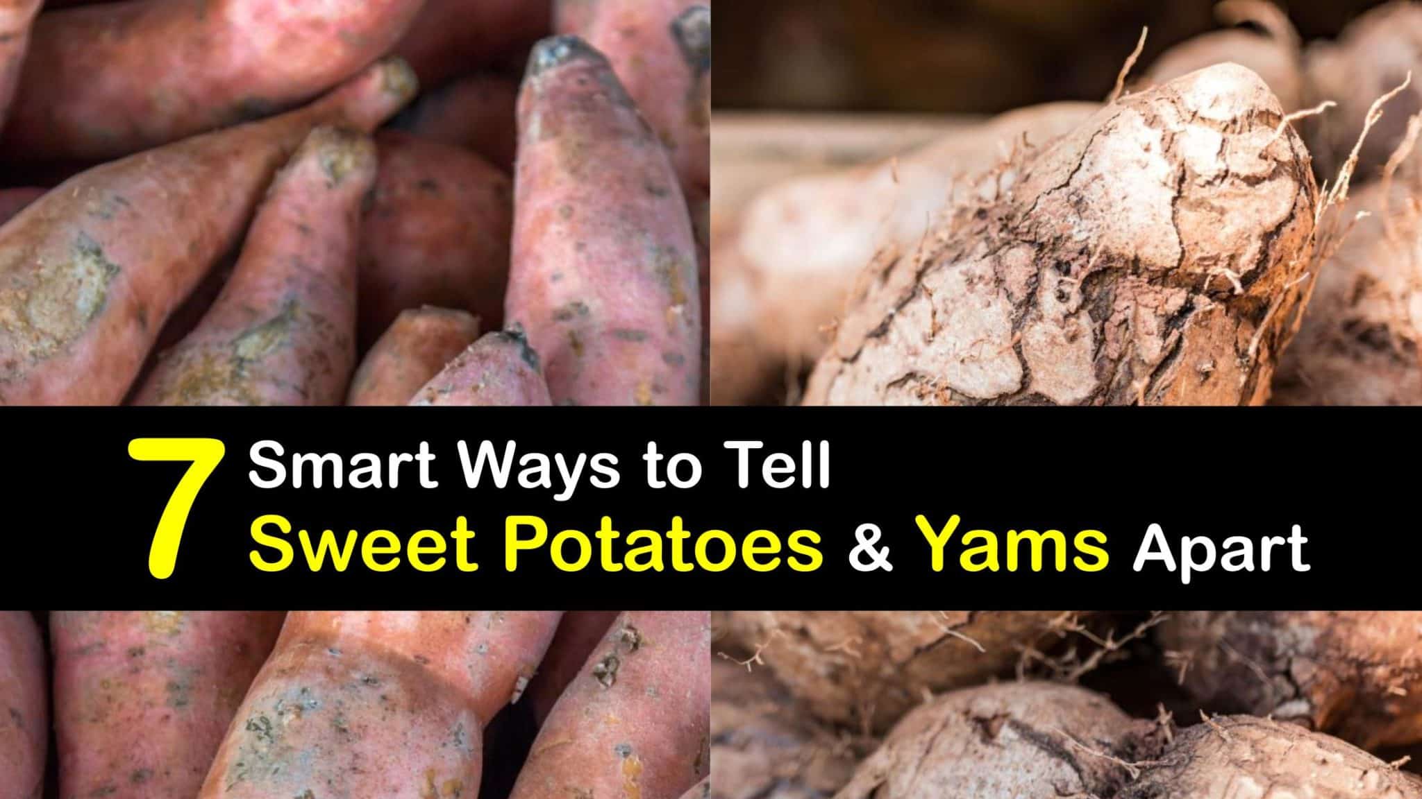 Yams Vs Sweet Potatoes T1 2048x1152 