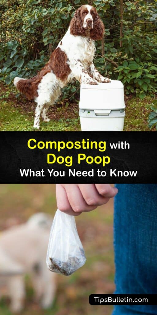can you put dog poop in compost