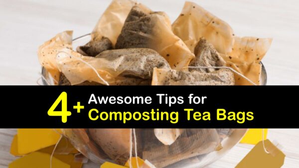 Composting Tea Bags - Are Tea Bags Good for Compost