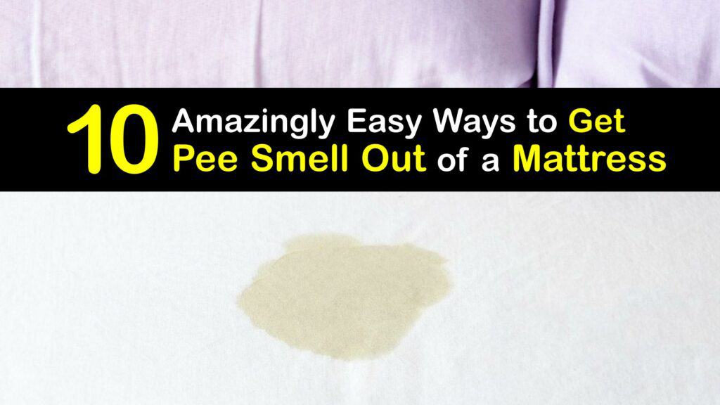 getting pee smell out of foam mattress