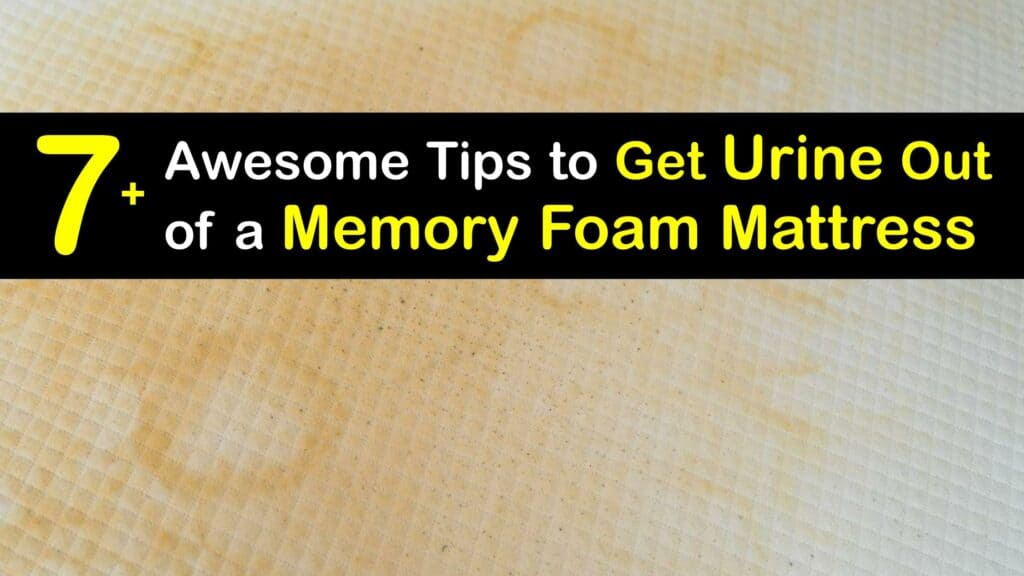 cleaning urine from memory foam mattress