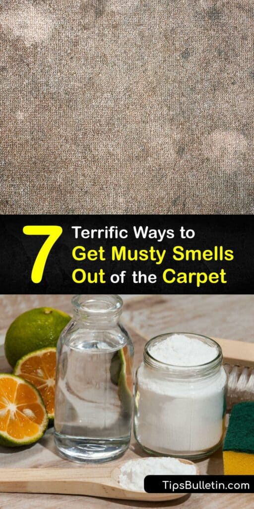 Carpet smell caused by mold spores and bacteria creates an overpowering stink in your home. Discover how to get rid of the musty odor clinging to your carpet padding with easy-to-follow tips. No more mildew smell, just fresh, clean carpet. #remove #musty #smell #carpet