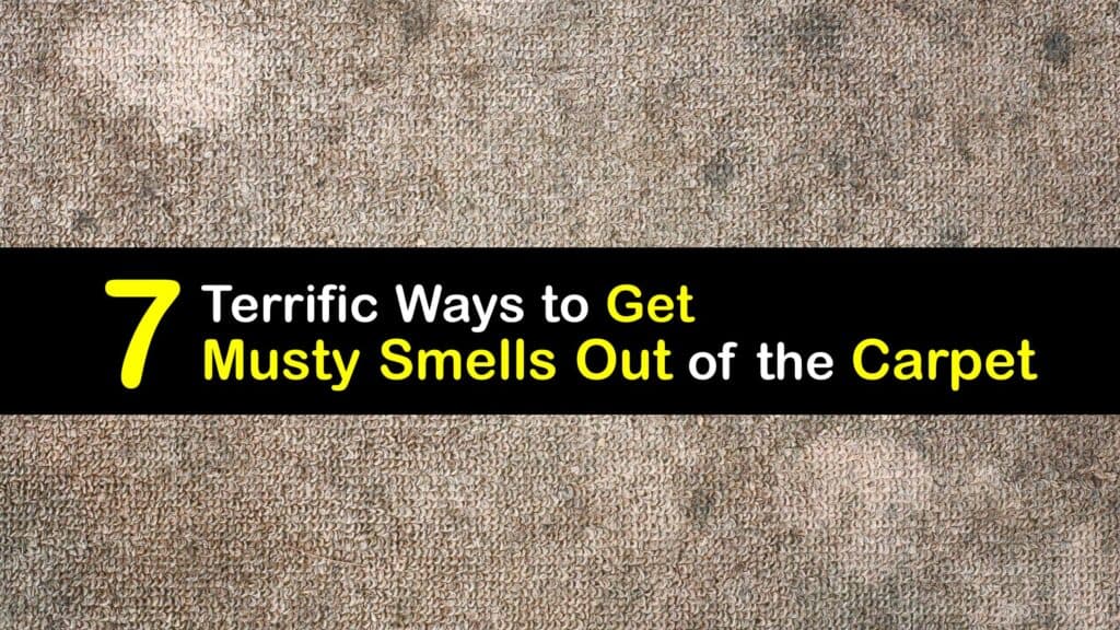 How to Get a Musty Smell Out of Carpet titleimg1