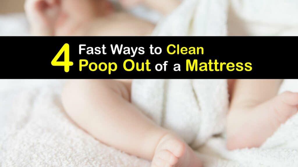 How to Clean Poop off a Memory Foam Mattress titleimg1